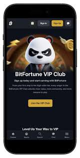 Bitfortune Beginner Guide Your Essential Introduction to Digital Wealth
