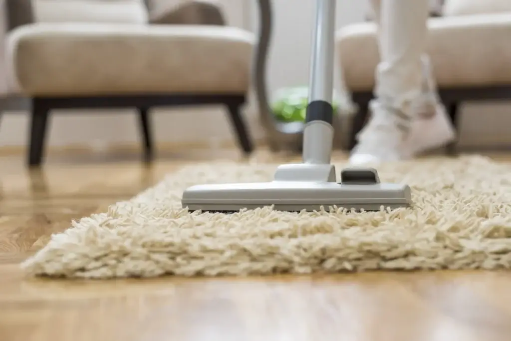 Carpet Cleaning Tips