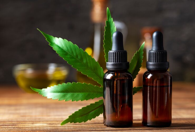Why Understanding CBD Edible Dosage Matters for Beginners