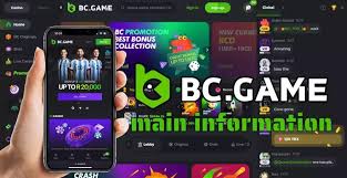 Unlocking the World of Gaming Discover BC.Game Link