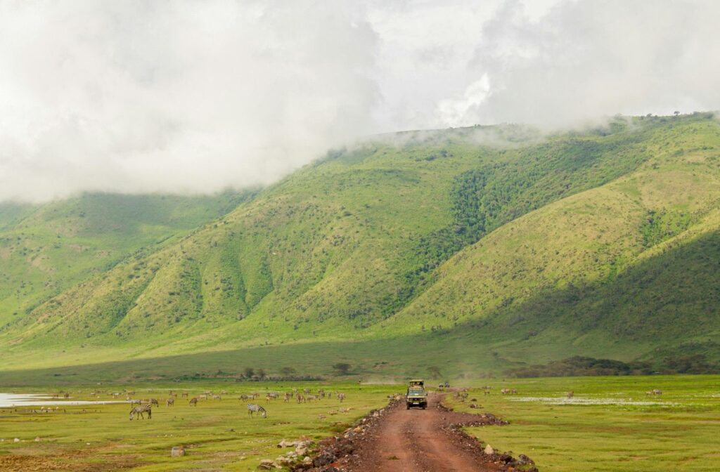 Best Jungle Safari in Sumatra Indonesia