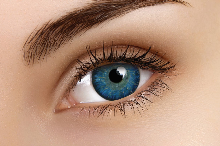 Bella Lenses